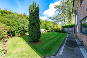 Front garden- click for photo gallery